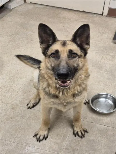 Max