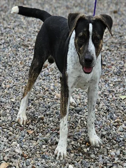 Max