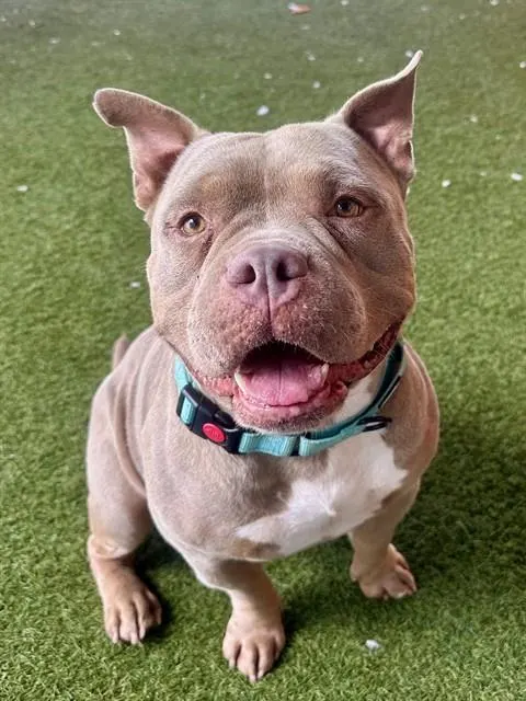 Zeus