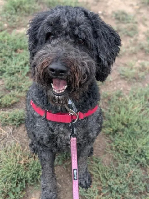 Walter