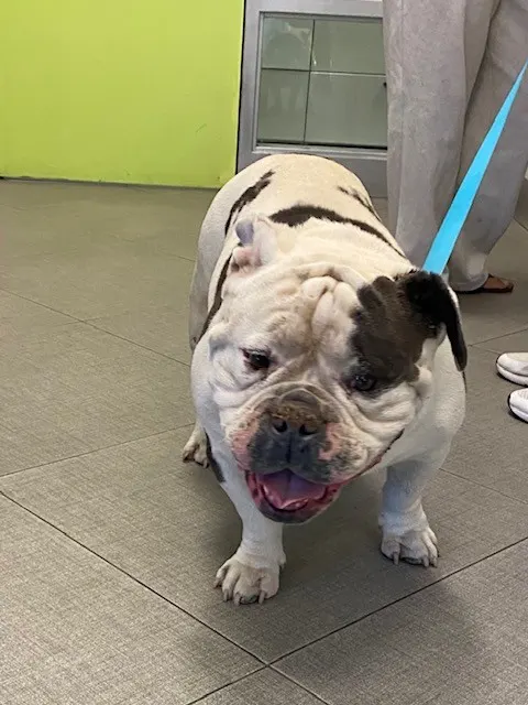 Opie