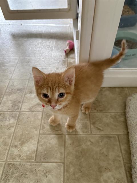 Max