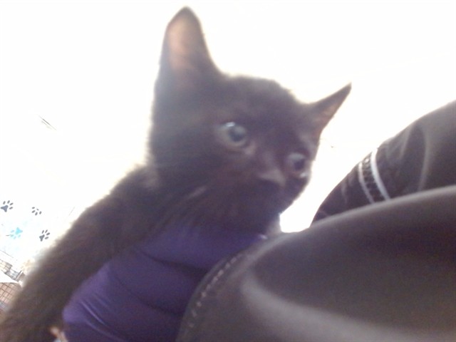 Binx