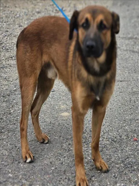 Bruce