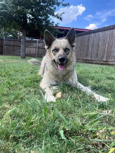 Luna