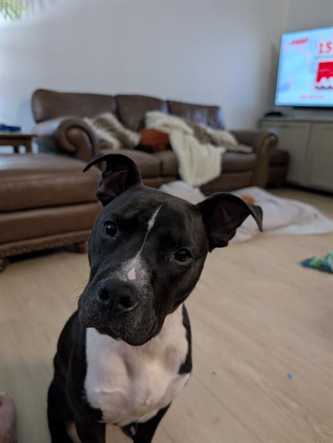 Billy