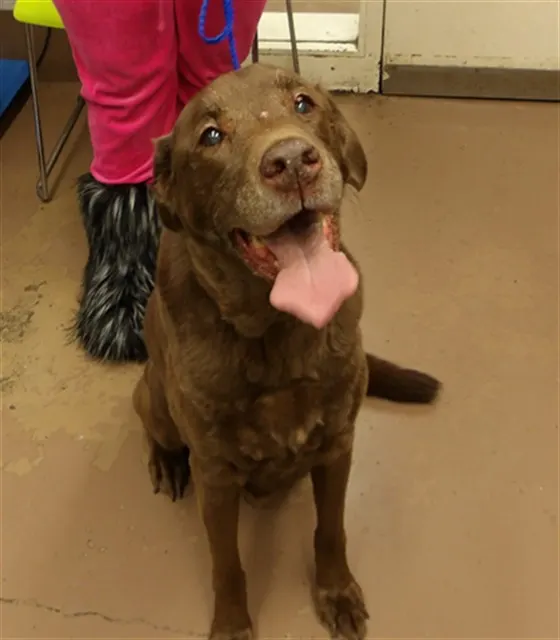 Coco
