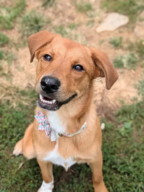 Ella
