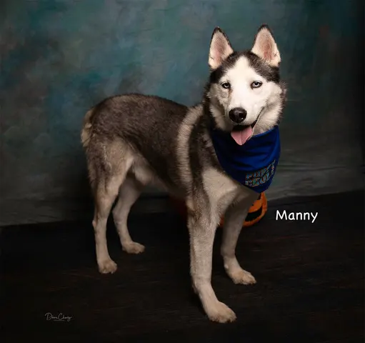 Manny