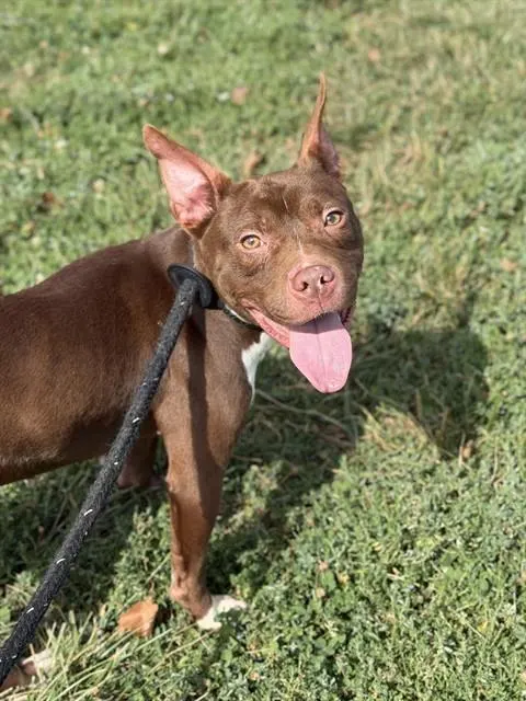 Coco