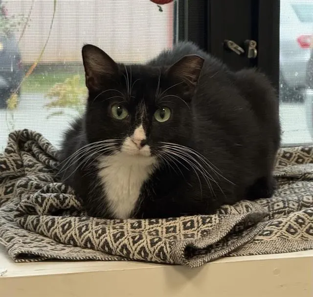 Mia