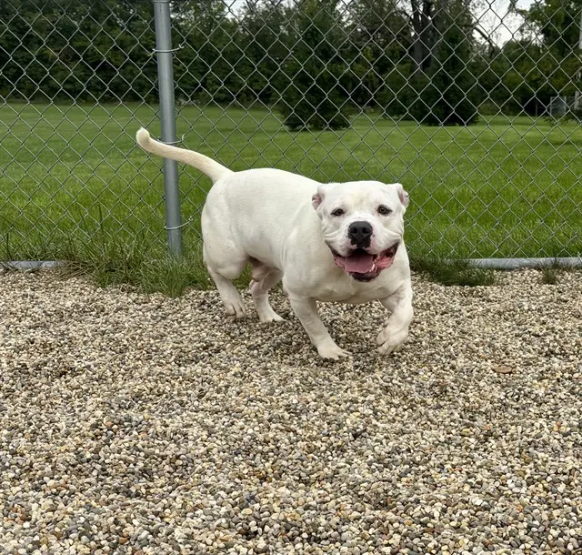 Samson