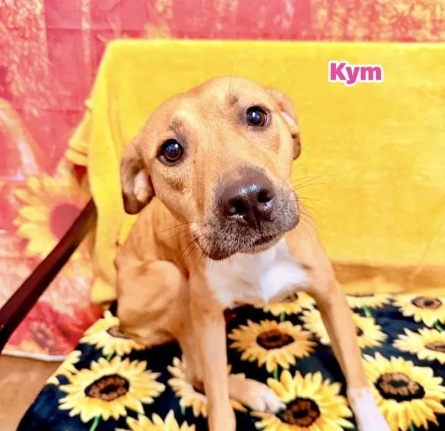 Kym