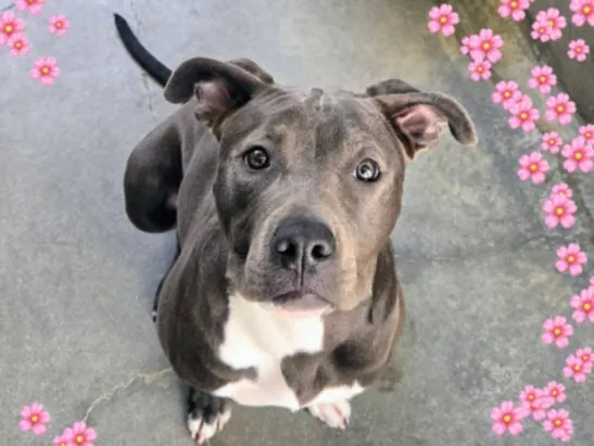 Maggie