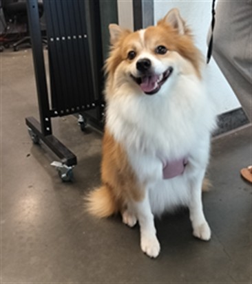 Fluffy