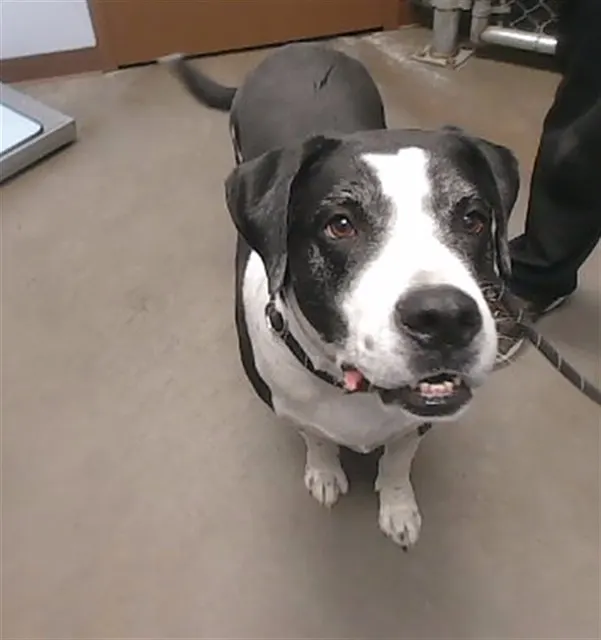 Max
