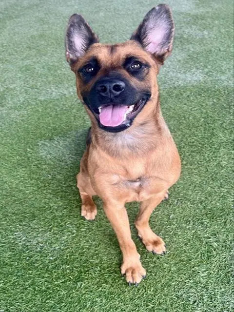 Roxy
