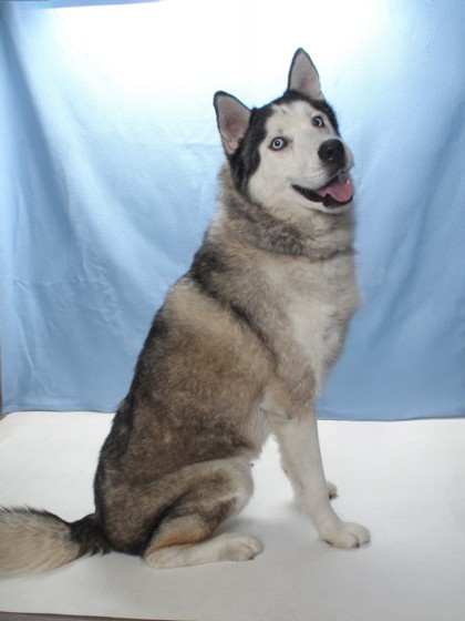 Denali