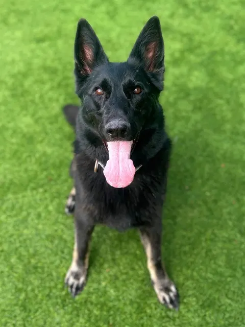 Luna