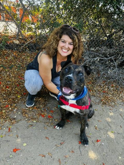 Alfie