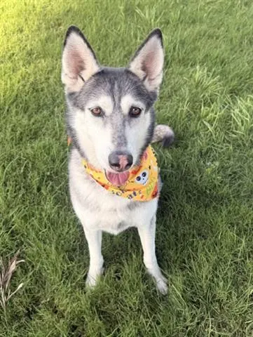 Zoey