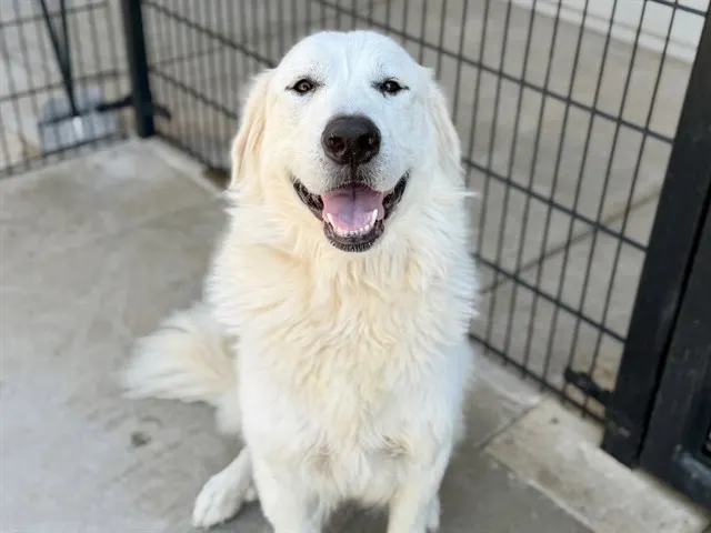 Lucy