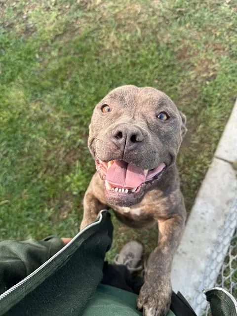 Hera