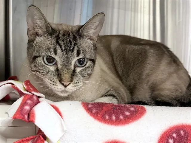 Flint