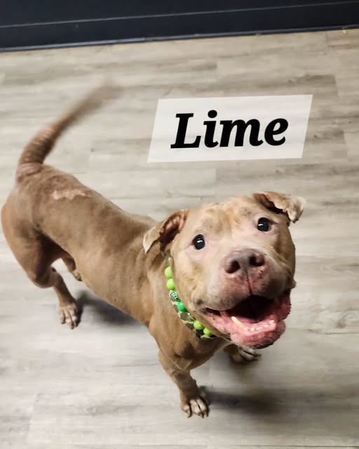 Lime