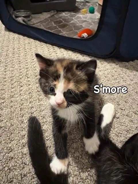 S'More