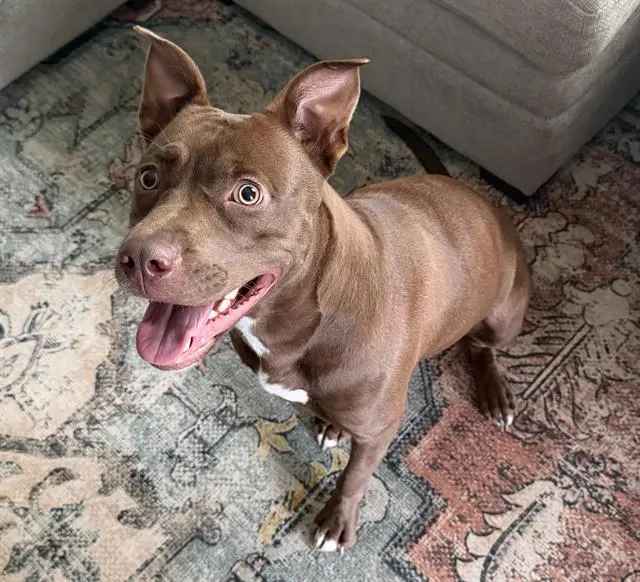 Meg