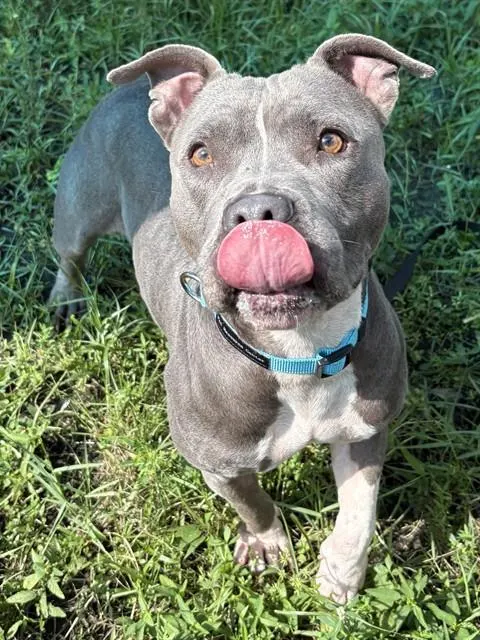 Bonnie