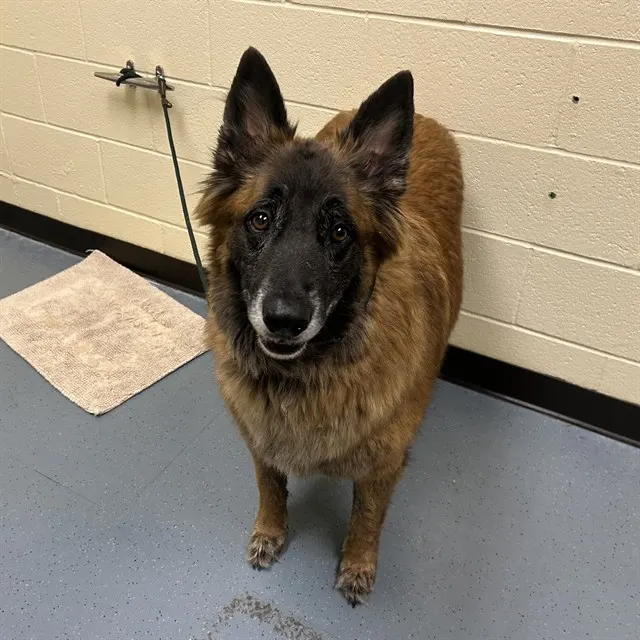 Max
