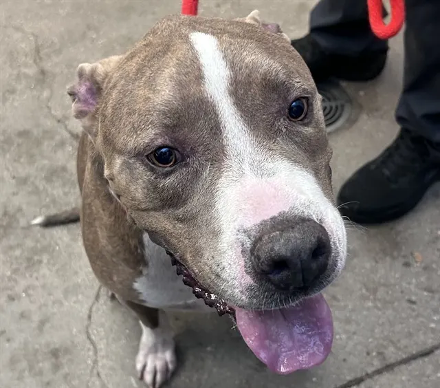 Roscoe