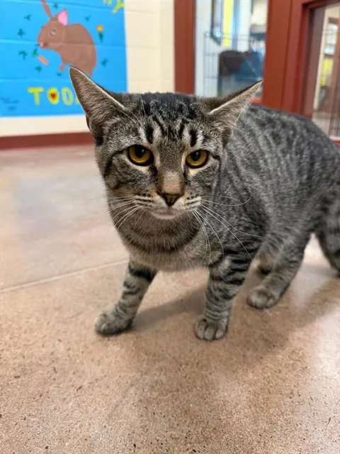 Fiona