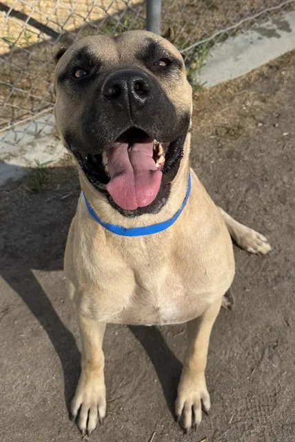Zeus