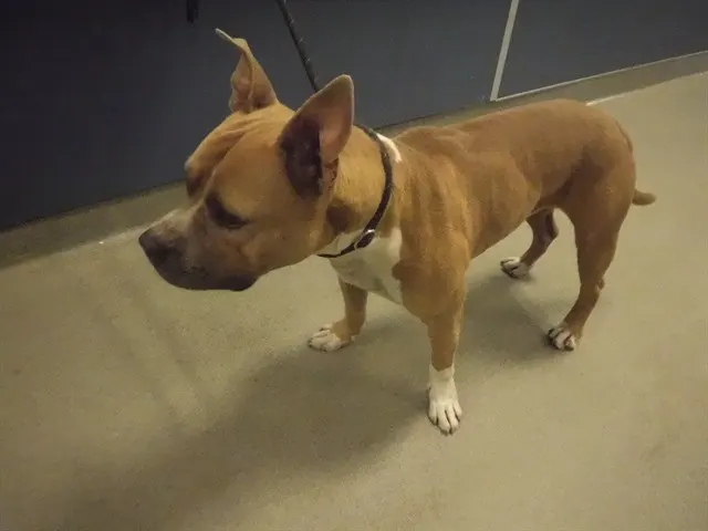 Titus