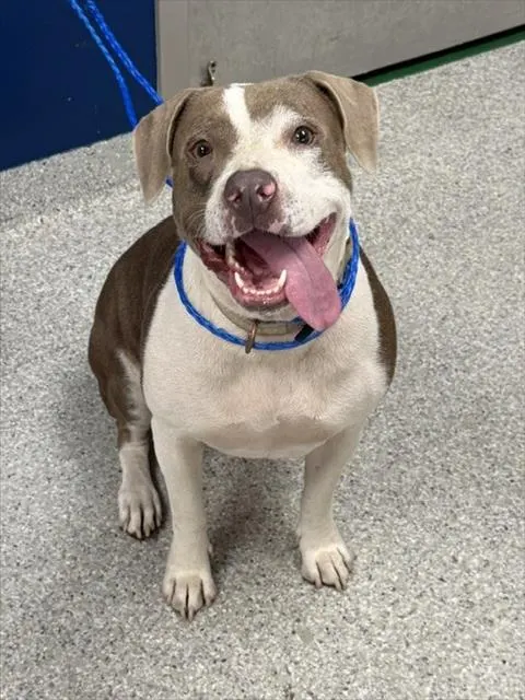Fiona