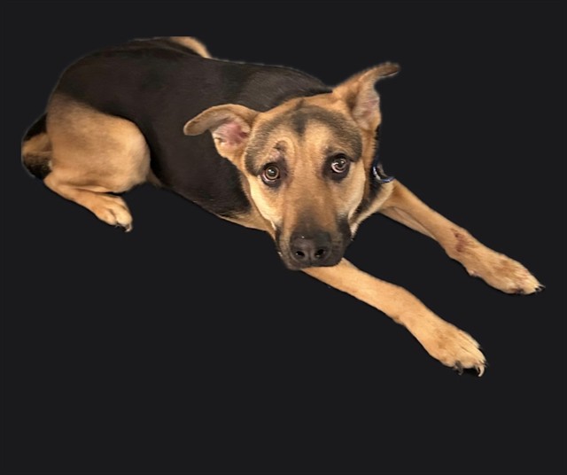 Lydia