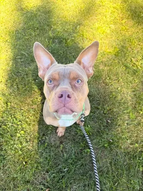 Mimi