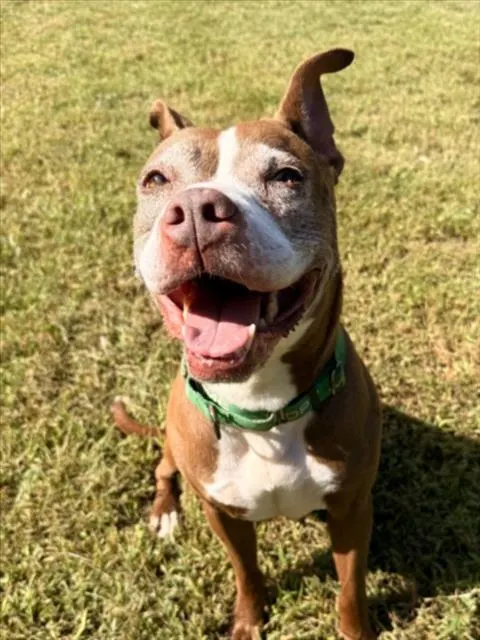 Coco