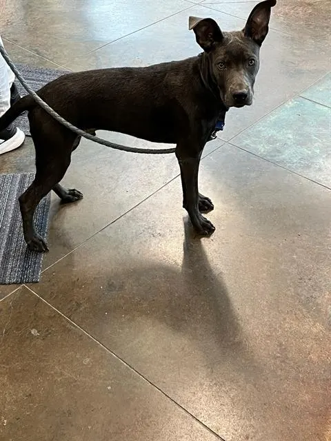 Bernie