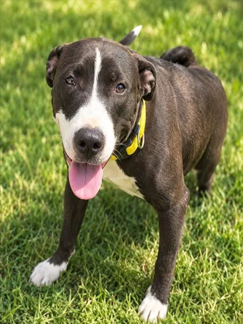 Chloe