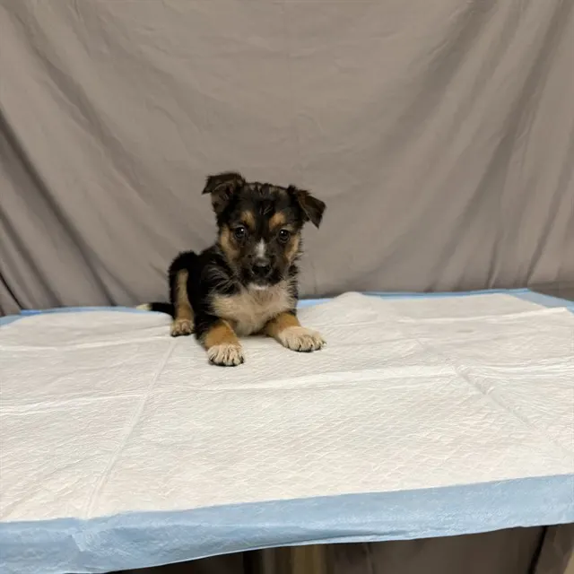 Matilda