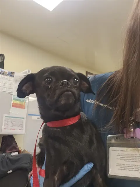 Matilda