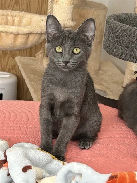 Winnie