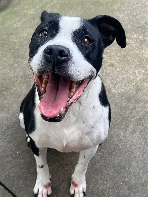 Esther