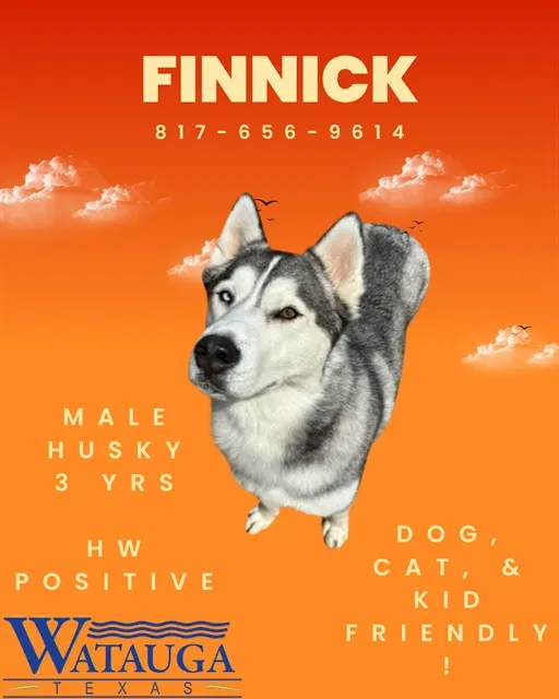 Finnick
