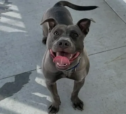 Baylor-In Foster