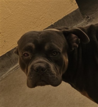Zeus